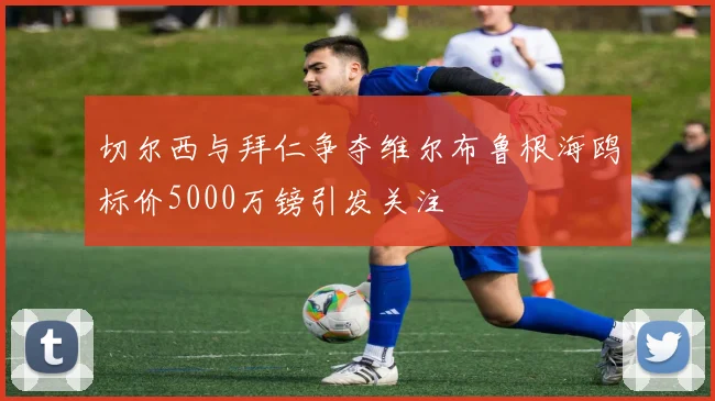 切尔西与拜仁争夺维尔布鲁根海鸥标价5000万镑引发关注