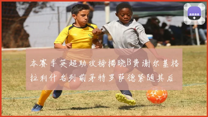 本赛季英超助攻榜揭晓B费谢尔基格拉利什名列前茅特罗萨德紧随其后