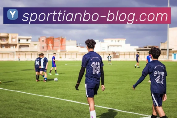 天博体育平台生态图